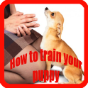 Training a Puppy