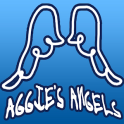 Aggie's Angels Childcare