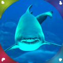 tiburones fondos pantalla