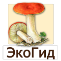 EcoGuide: Russian Fungi