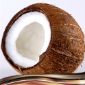 Coconut Photo Collage