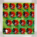 Ladybug Keyboards