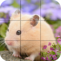 Puzzle - hamster bonitos