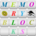 Memory Blocks