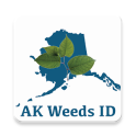 Alaska Weeds ID