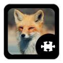Fox Puzzle
