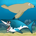 Seal Shark Attack