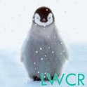 lindo pingüino live wallpaper