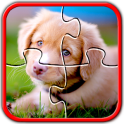 Dog Jigsaw Puzzles Brain Games for Kids Free