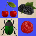 ベリーと甲虫 (Berries and Beetles)