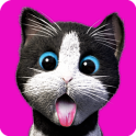 Daily Kitten : chat virtuel