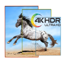 Fondos de pantalla Horse 4K