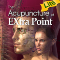 The Acupuncture of Extra Point Lite