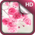 Bonito Flores Rosa Fundo HD
