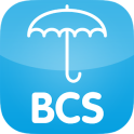 BCS Online