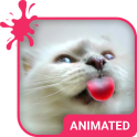 Katze Liebe Animierte Tastatur