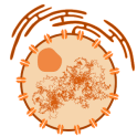 Biology Academy (A-Level)