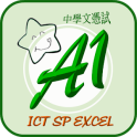 DSE ICT EXCEL Summary(Chinese)