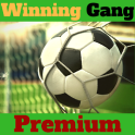 Winning Gang Premium Bet Tips