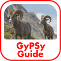 Jasper National Park GyPSy Tour