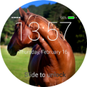 Horses Lock Screen