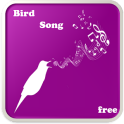 Birds song