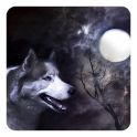 भेड़िया और चाँद लाइव वॉलपेपर