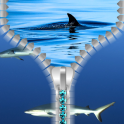 Shark Zipper Lock Screen