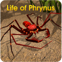 Life of Phrynus