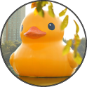 Funny Rubber Duck Sounds