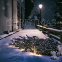 Christmas Wаllрареr Backgrounds