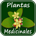 Plantas Medicinales y sus Usos