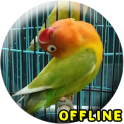 MP3 Lovebird Paud Offline