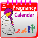 pregnancy calendar