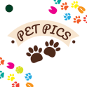 Pet Pictures - Photo Editor - Pet Face Wallpapers