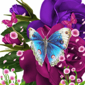 Blue Butterfly On Purple Flowe