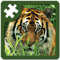 Wild animals puzzle: Jigsaw