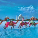 Tourist Places In India