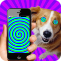Real Hypnotizer For Dogs