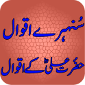 Hazrat Ali Kay Aqwal