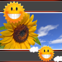 Sunflower Clock And Weather