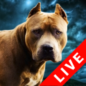 Fighting Dogs Live Wallpaper
