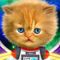 Talking baby cat in space