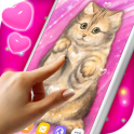 Cute Cat Live Wallpaper ❤️ Fluffy Kitty Wallpapers