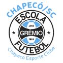 Escolinha Grêmio Chapecó