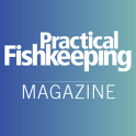 Practical Fish Keeping Magazine