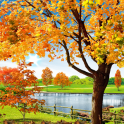 Autumn Pond Live Wallpaper
