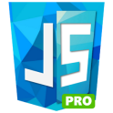Learn JavaScript PRO