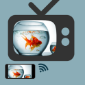 Screen Mirroring to TV App : Display Phone on TV