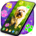 Cute Puppy Live Wallpaper Dog Paws Wallpapers